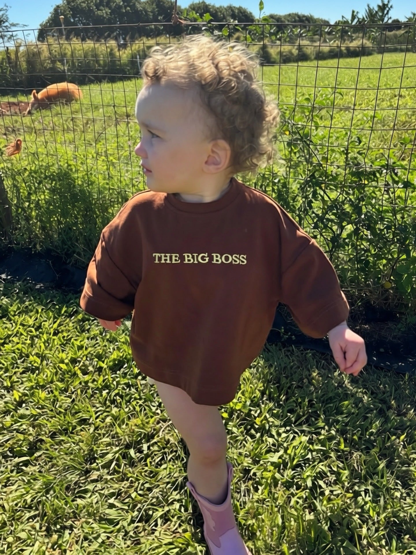 THE BIG BOSS