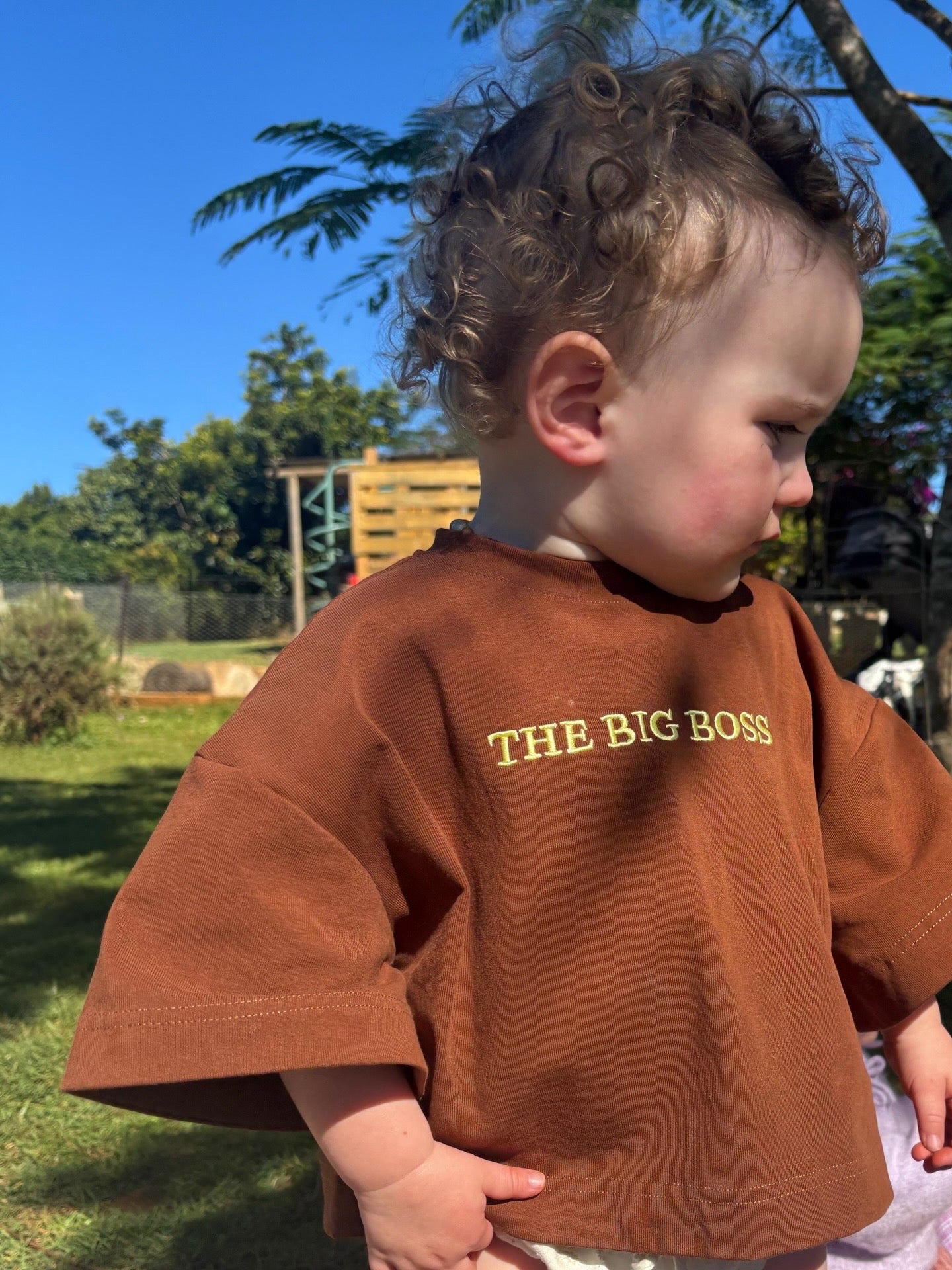 THE BIG BOSS