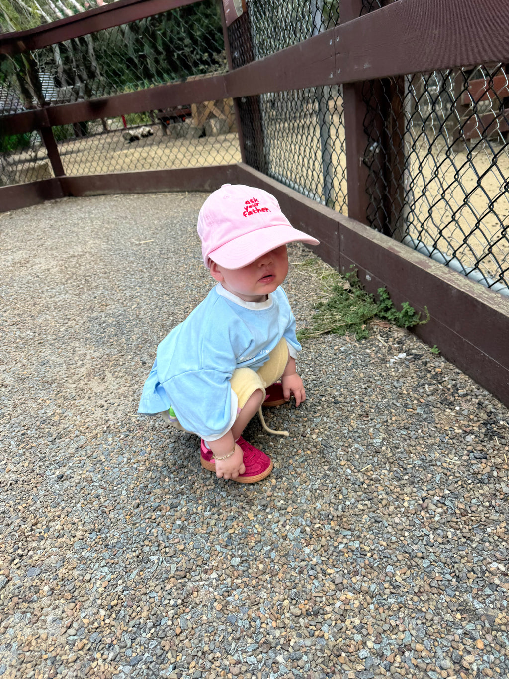 Ask Your Father Cap in Pink | Kids