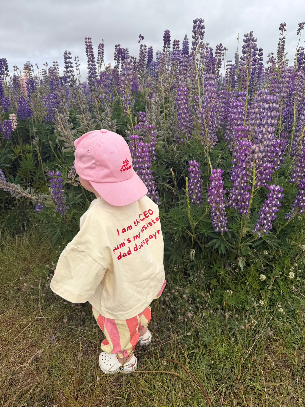 Ask Your Father Cap in Pink | Kids