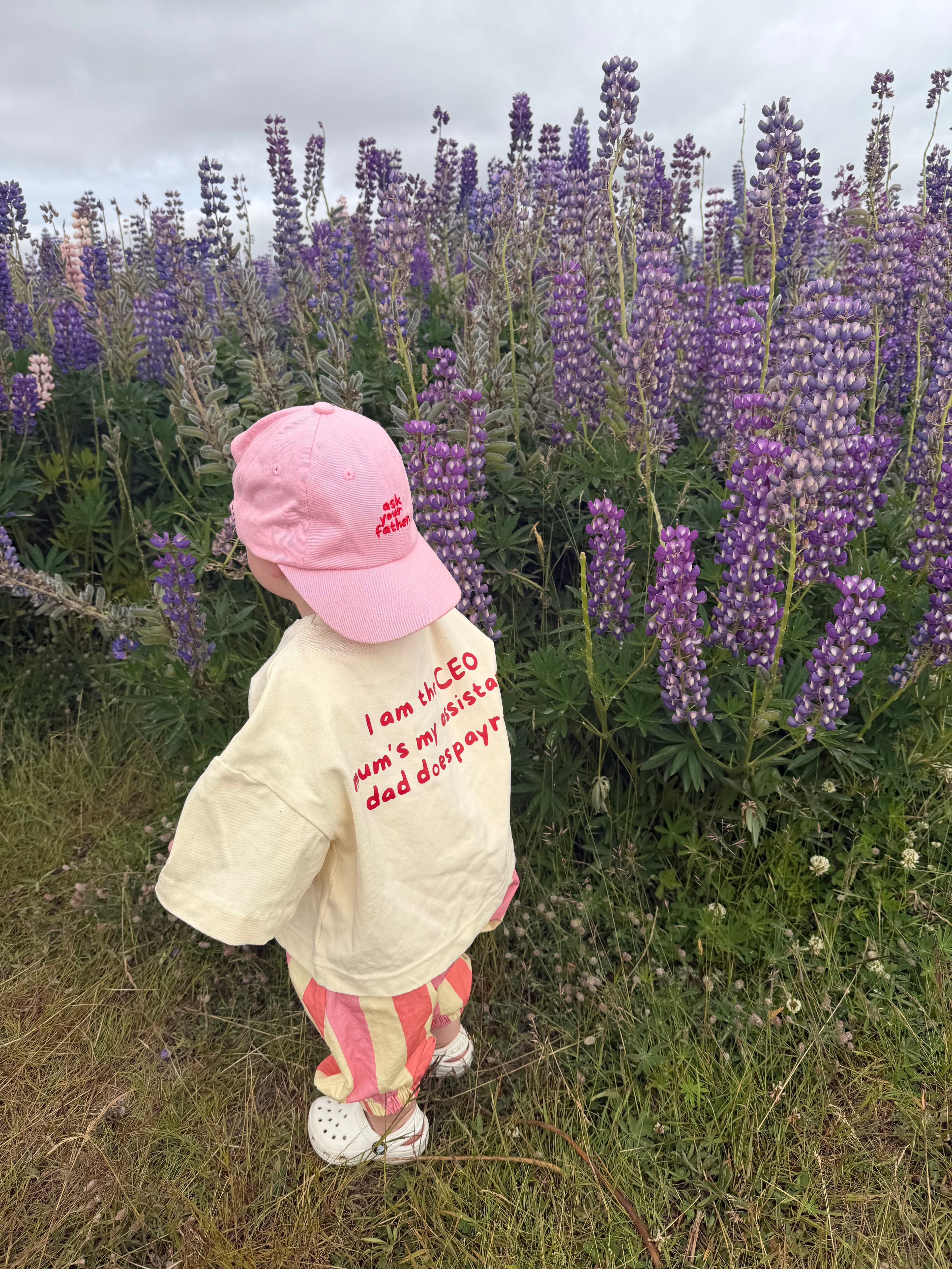 Ask Your Father Cap in Pink | Kids